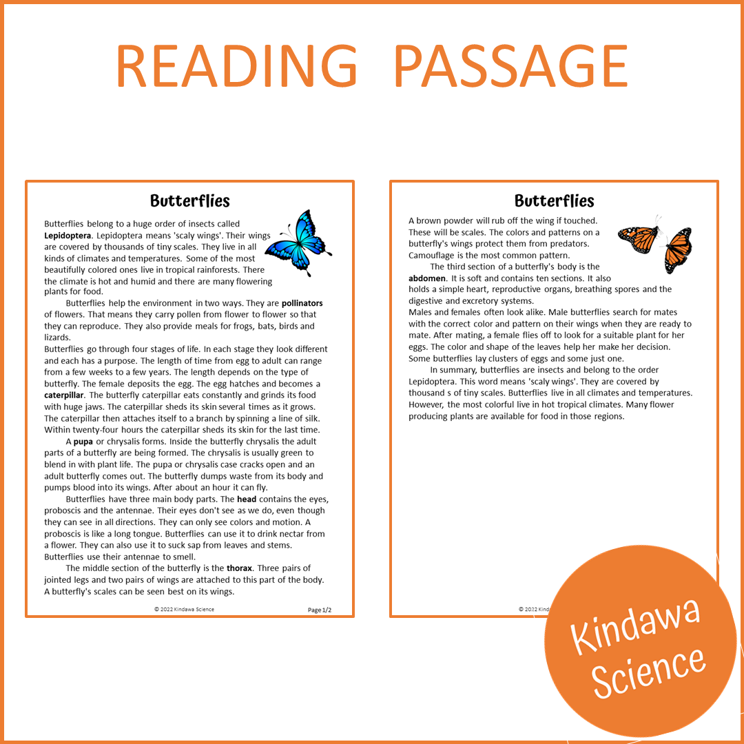 Butterflies Reading Comprehension Passage and Questions | Printable PDF