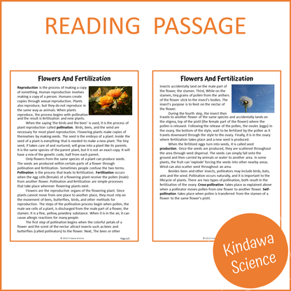 Flowers And Fertilization Reading Comprehension Passage and Questions | Printable PDF