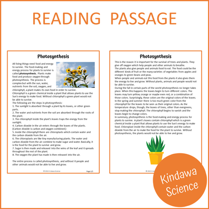 Photosynthesis Reading Comprehension Passage and Questions | Printable PDF