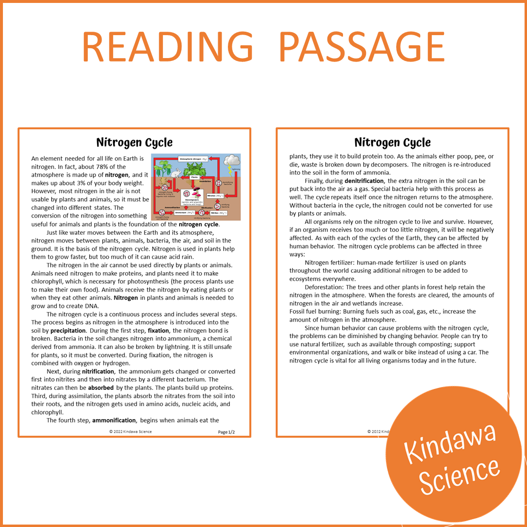 Nitrogen Cycle Reading Comprehension Passage and Questions | Printable PDF