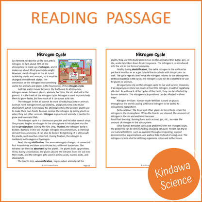 Nitrogen Cycle Reading Comprehension Passage and Questions | Printable PDF