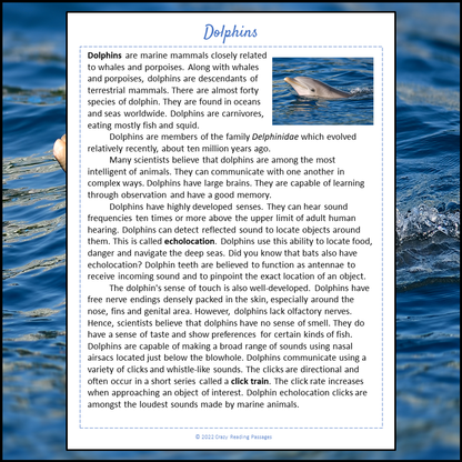 Dolphins Reading Comprehension Passage and Questions | Printable PDF