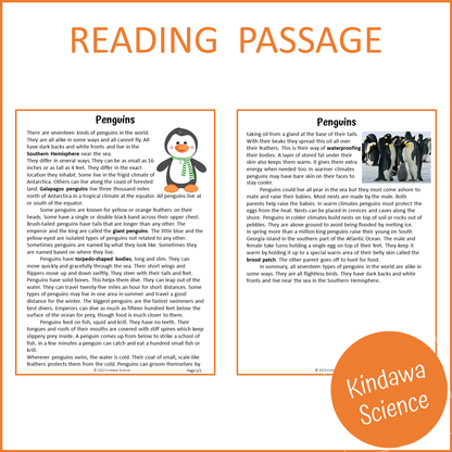 Penguins Reading Comprehension Passage and Questions | Printable PDF
