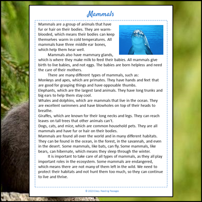 Mammals Reading Comprehension Passage and Questions | Printable PDF