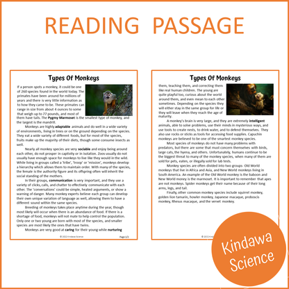 Types Of Monkeys Reading Comprehension Passage and Questions | Printable PDF