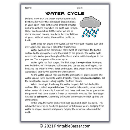 Water Cycle Reading Comprehension Passage and Questions