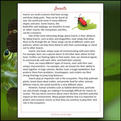 Insects Reading Comprehension Passage and Questions | Printable PDF