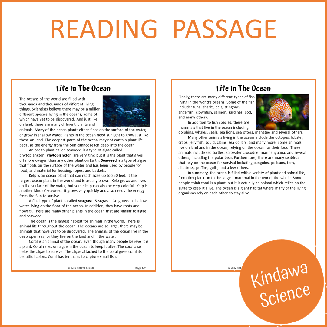 Life In The Ocean Reading Comprehension Passage and Questions | Printable PDF