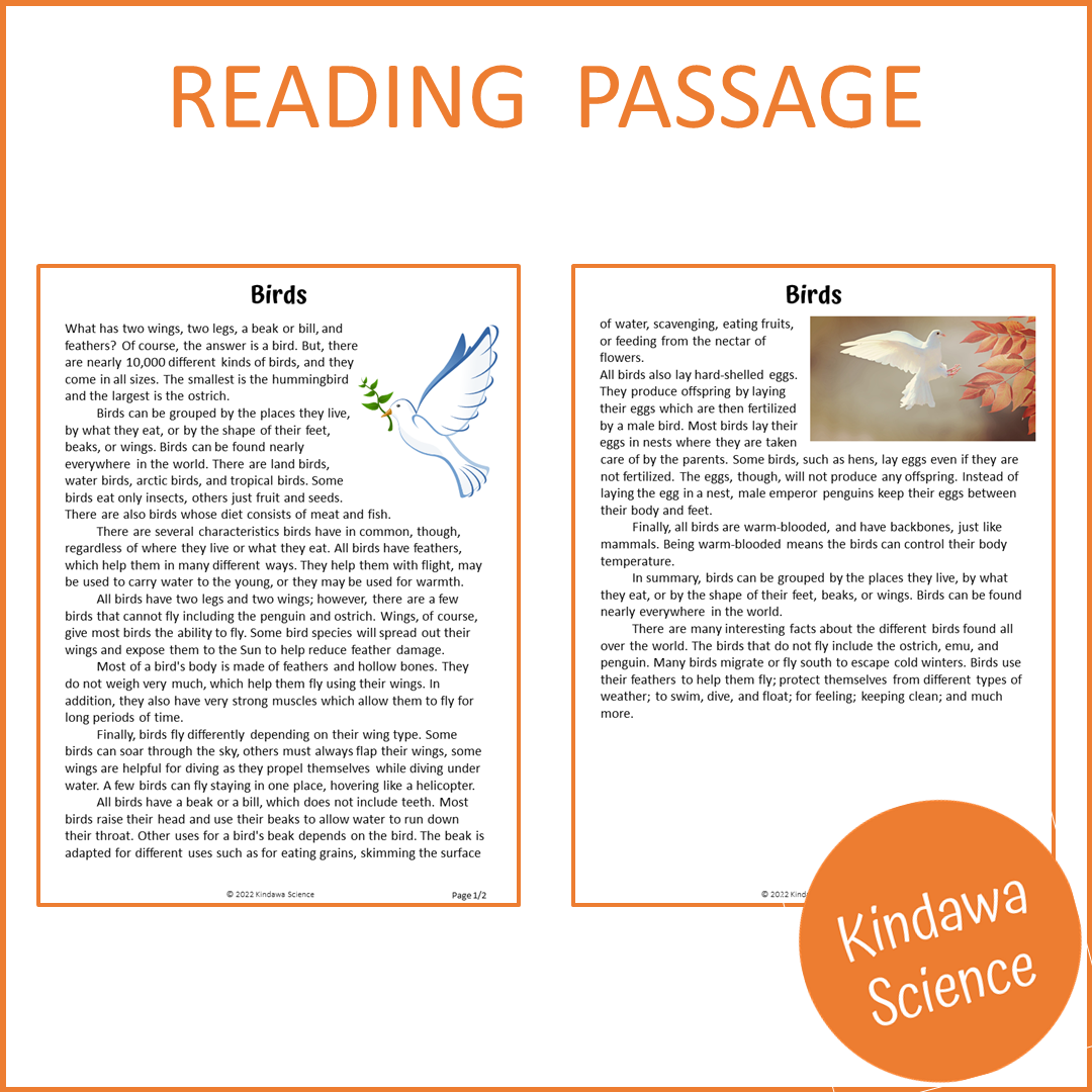 Birds Reading Comprehension Passage and Questions | Printable PDF
