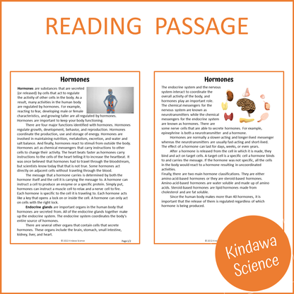 Hormones Reading Comprehension Passage and Questions | Printable PDF