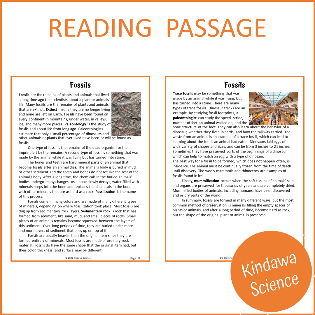 Fossils Reading Comprehension Passage and Questions | Printable PDF