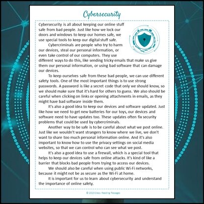 Cybersecurity Reading Comprehension Passage and Questions | Printable PDF