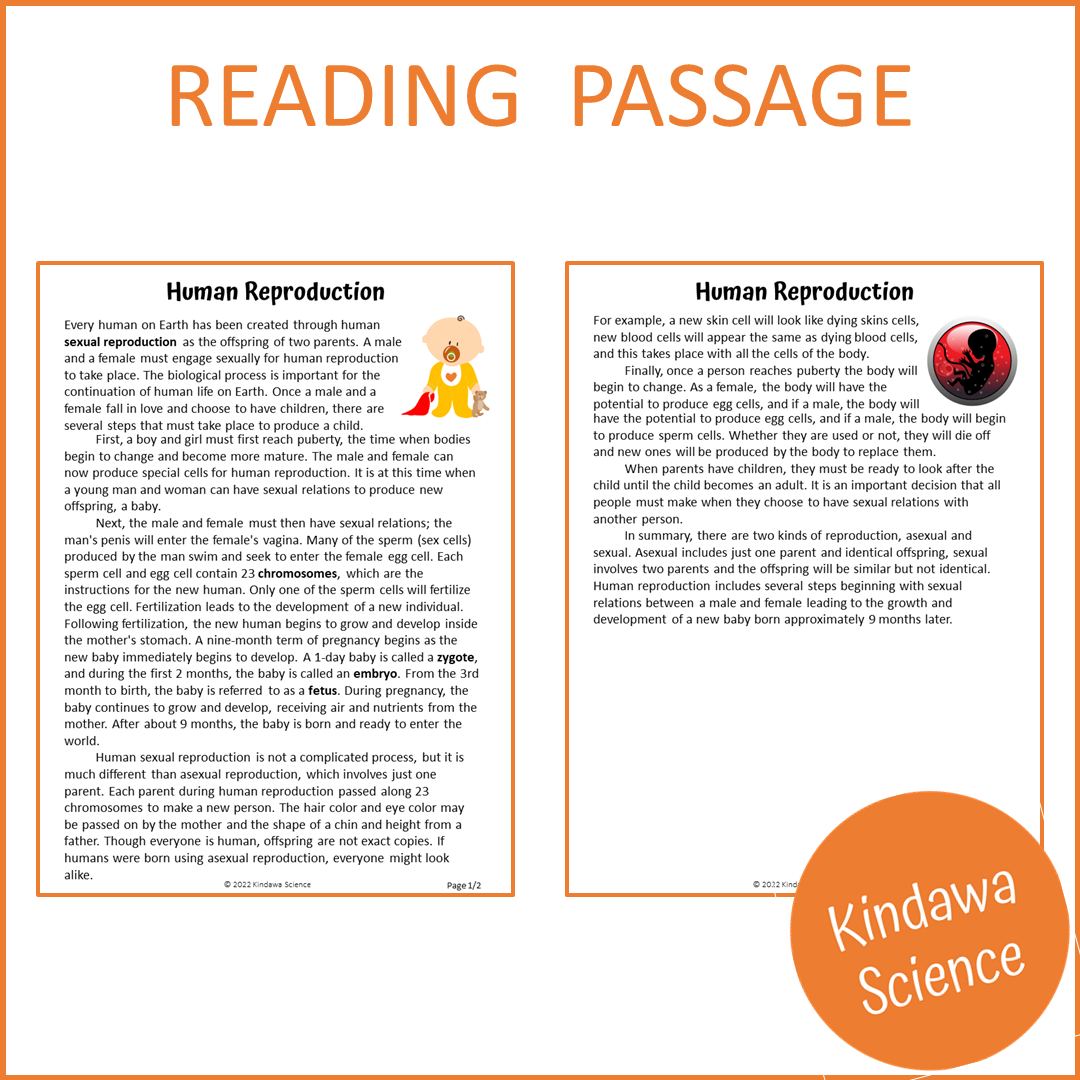 Human Reproduction Reading Comprehension Passage and Questions | Printable PDF