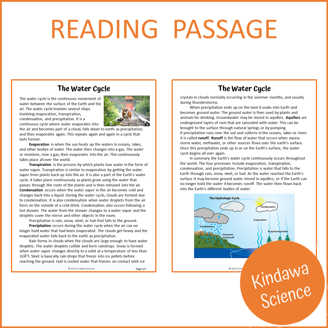 The Water Cycle Reading Comprehension Passage and Questions | Printable PDF