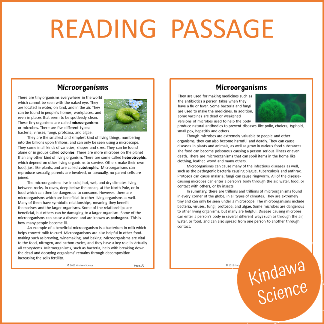 Microorganisms Reading Comprehension Passage and Questions | Printable PDF
