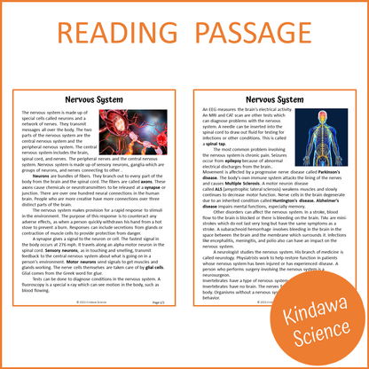 Nervous System Reading Comprehension Passage and Questions | Printable PDF