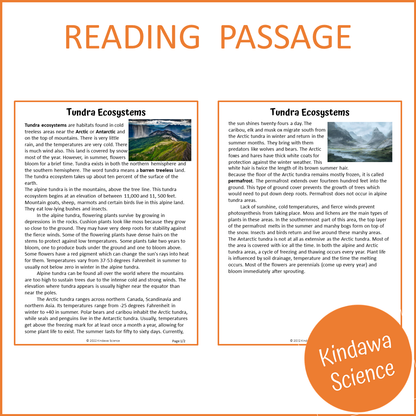 Tundra Ecosystems Reading Comprehension Passage and Questions | Printable PDF