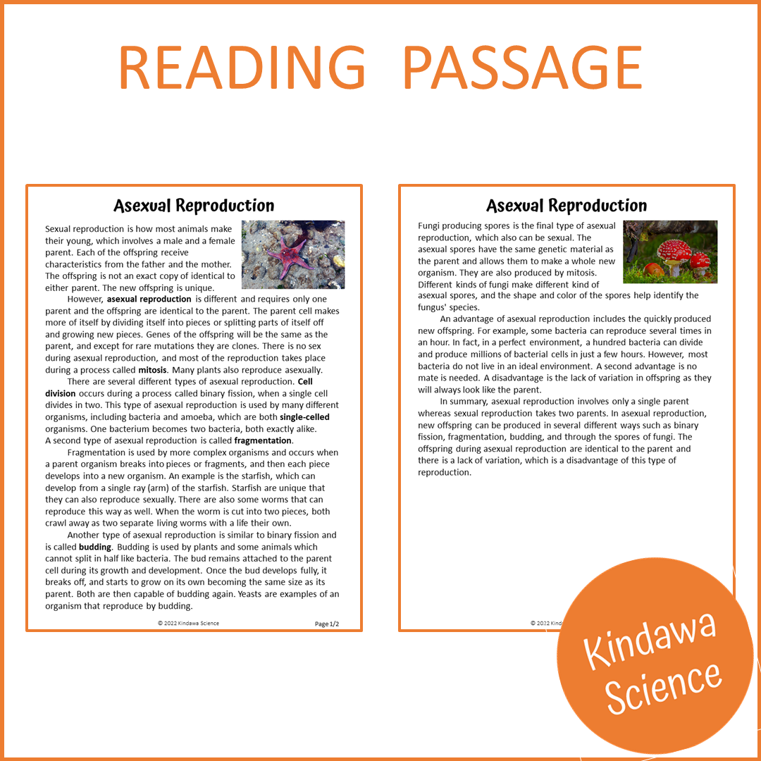 Asexual Reproduction Reading Comprehension Passage and Questions | Printable PDF