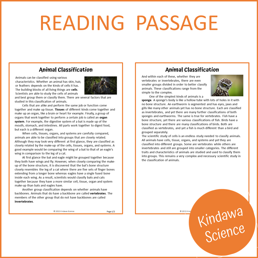 Animal Classification Reading Comprehension Passage and Questions | Printable PDF