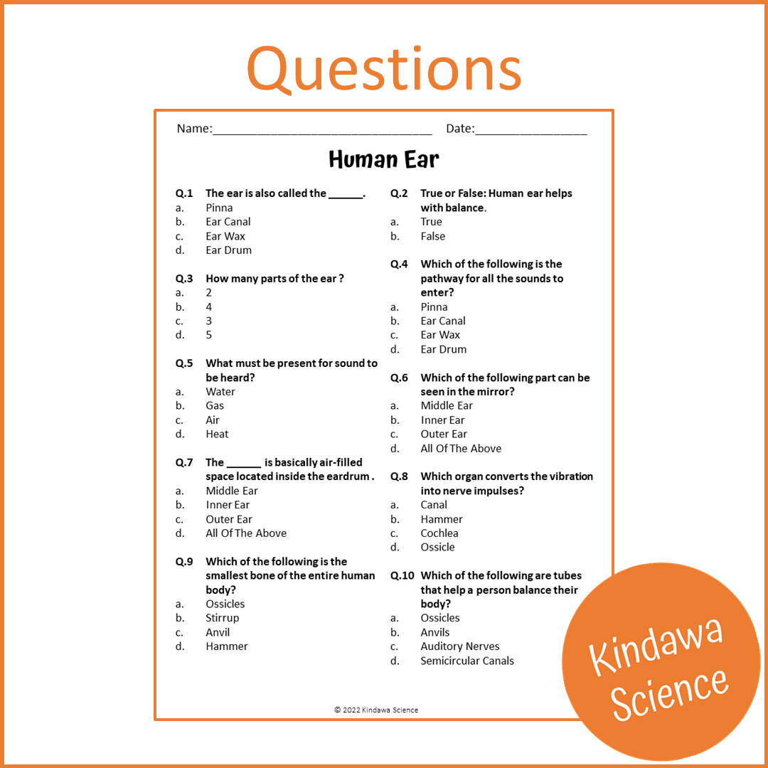 Human Ear Reading Comprehension Passage and Questions | Printable PDF