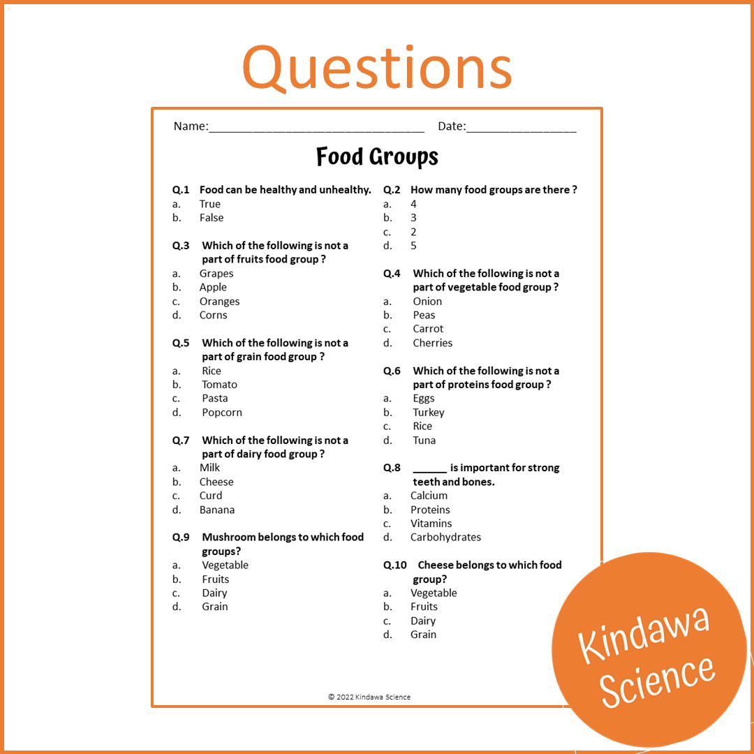 Food Groups Reading Comprehension Passage and Questions | Printable PDF