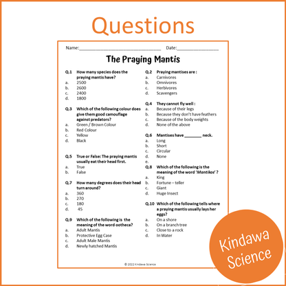 The Praying Mantis Reading Comprehension Passage and Questions | Printable PDF