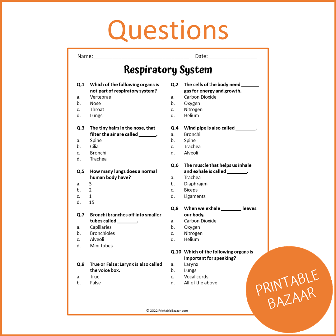 Respiratory System Reading Comprehension Passage and Questions | Printable PDF
