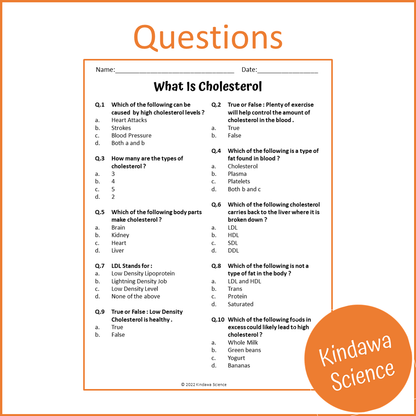 What Is Cholesterol Reading Comprehension Passage and Questions | Printable PDF