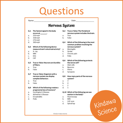 Nervous System Reading Comprehension Passage and Questions | Printable PDF