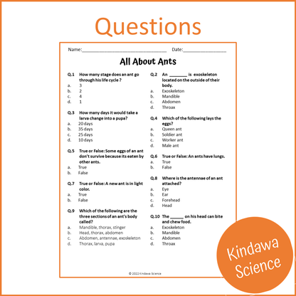 All About Ants Reading Comprehension Passage and Questions | Printable PDF