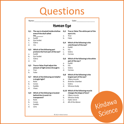 Human Eye Reading Comprehension Passage and Questions | Printable PDF