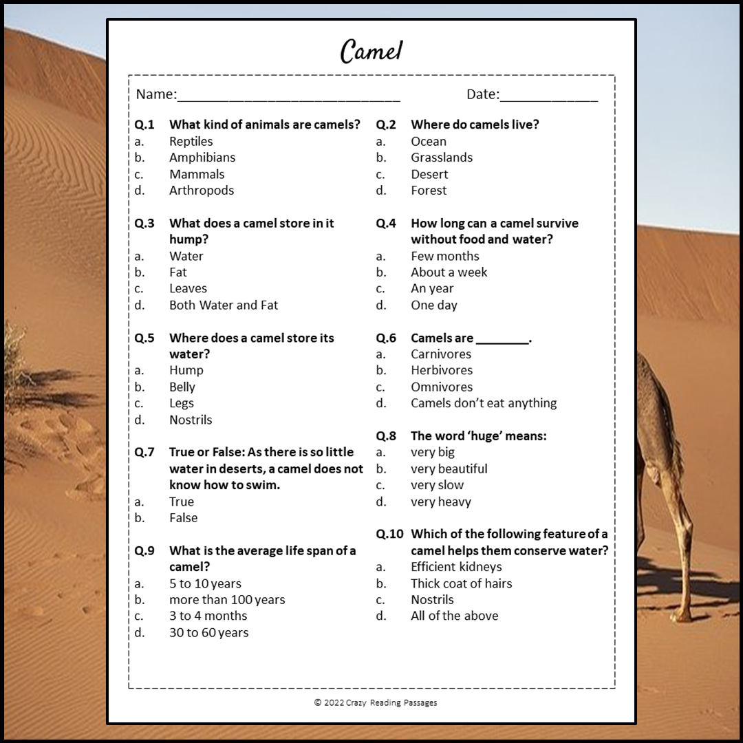 Camel Reading Comprehension Passage and Questions | Printable PDF