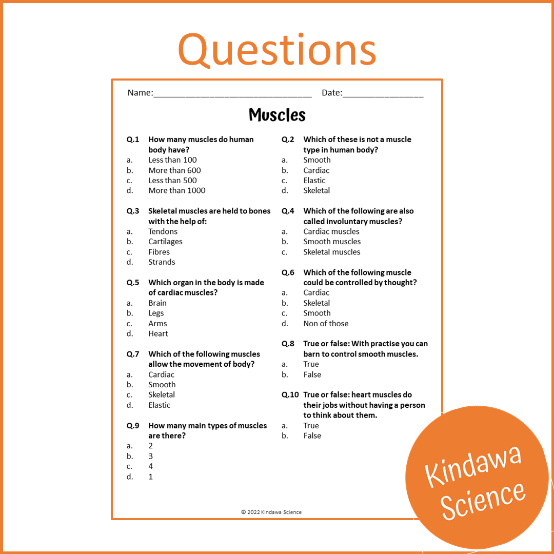 Muscles Reading Comprehension Passage and Questions | Printable PDF