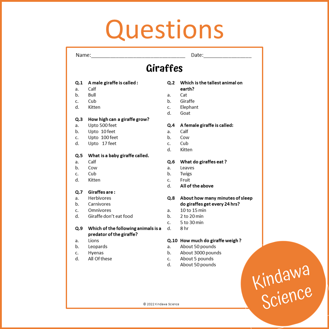 Giraffes Reading Comprehension Passage and Questions | Printable PDF