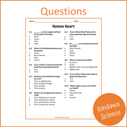 Human Heart Reading Comprehension Passage and Questions | Printable PDF