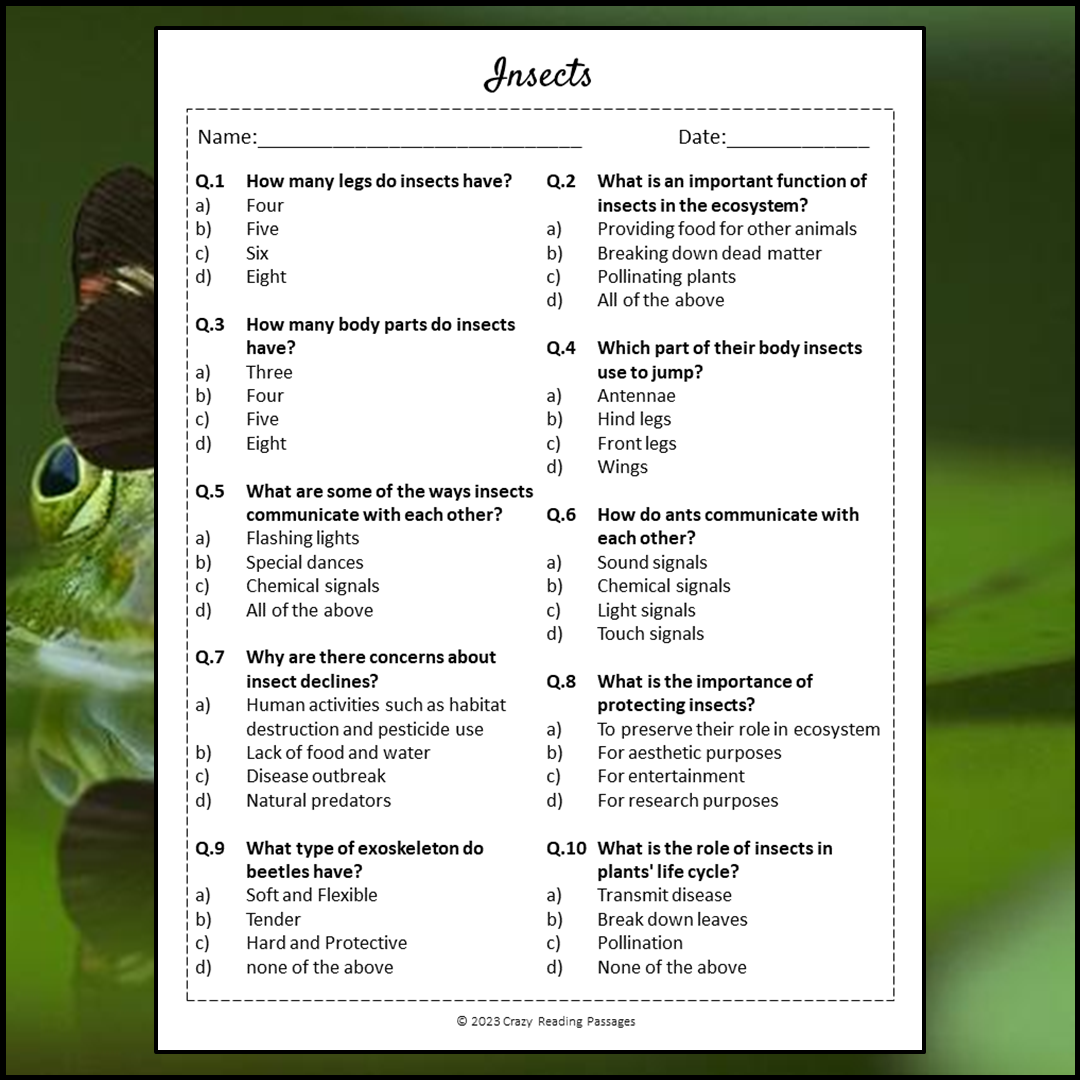 Insects Reading Comprehension Passage and Questions | Printable PDF