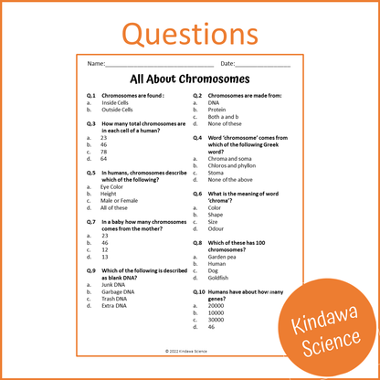 All About Chromosomes Reading Comprehension Passage and Questions | Printable PDF