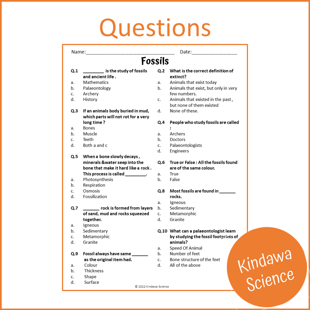 Fossils Reading Comprehension Passage and Questions | Printable PDF