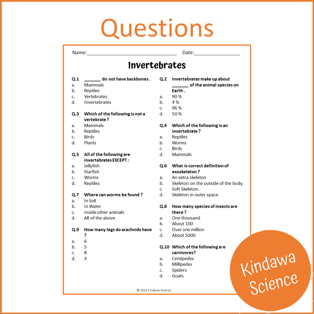Invertebrates Reading Comprehension Passage and Questions | Printable PDF
