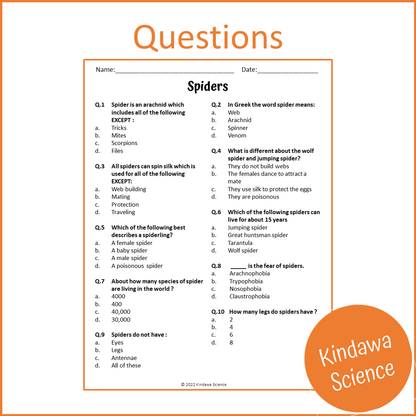 Spiders Reading Comprehension Passage and Questions | Printable PDF