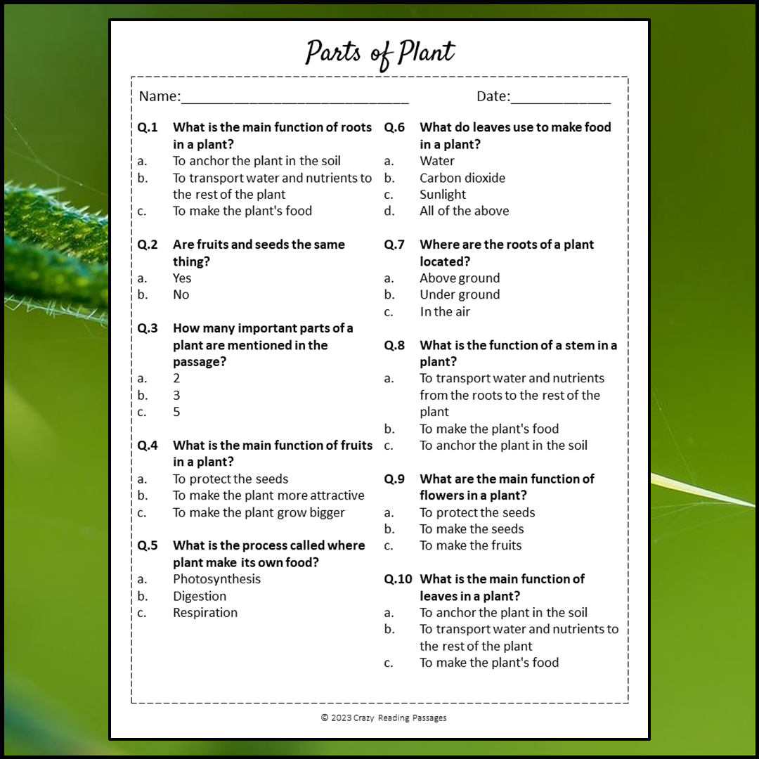 Parts Of Plant Reading Comprehension Passage and Questions | Printable PDF
