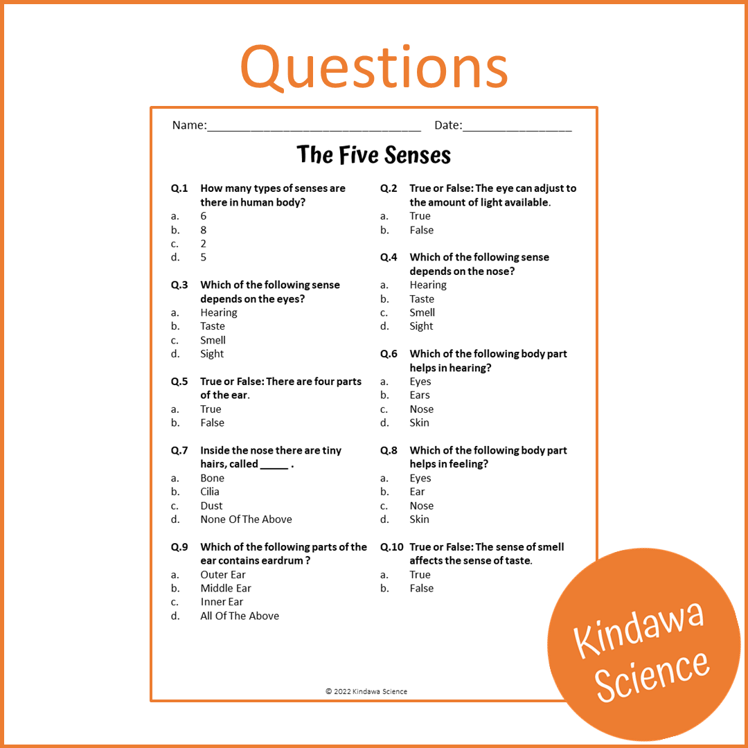 The Five Senses Reading Comprehension Passage and Questions | Printable PDF
