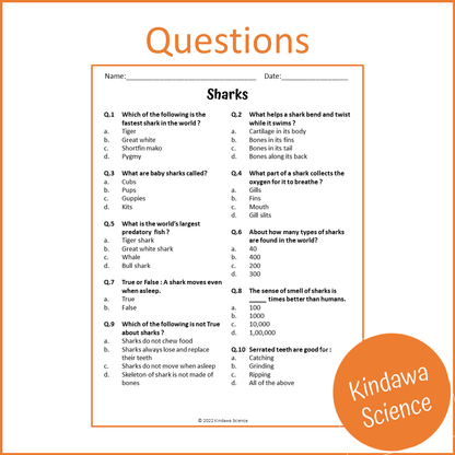 Sharks Reading Comprehension Passage and Questions | Printable PDF