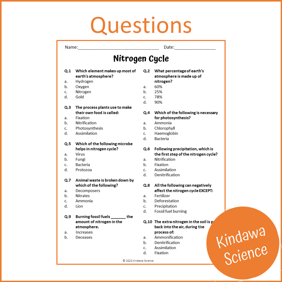 Nitrogen Cycle Reading Comprehension Passage and Questions | Printable PDF