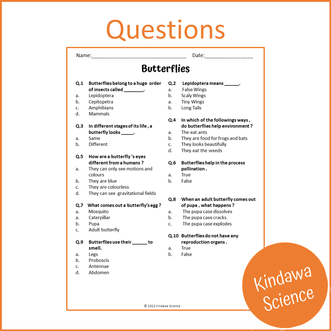 Butterflies Reading Comprehension Passage and Questions | Printable PDF