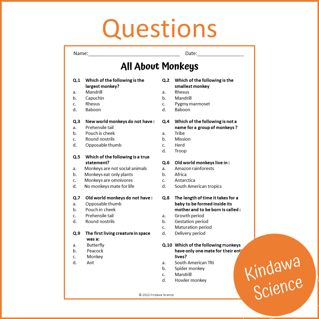 All About Monkeys Reading Comprehension Passage and Questions | Printable PDF