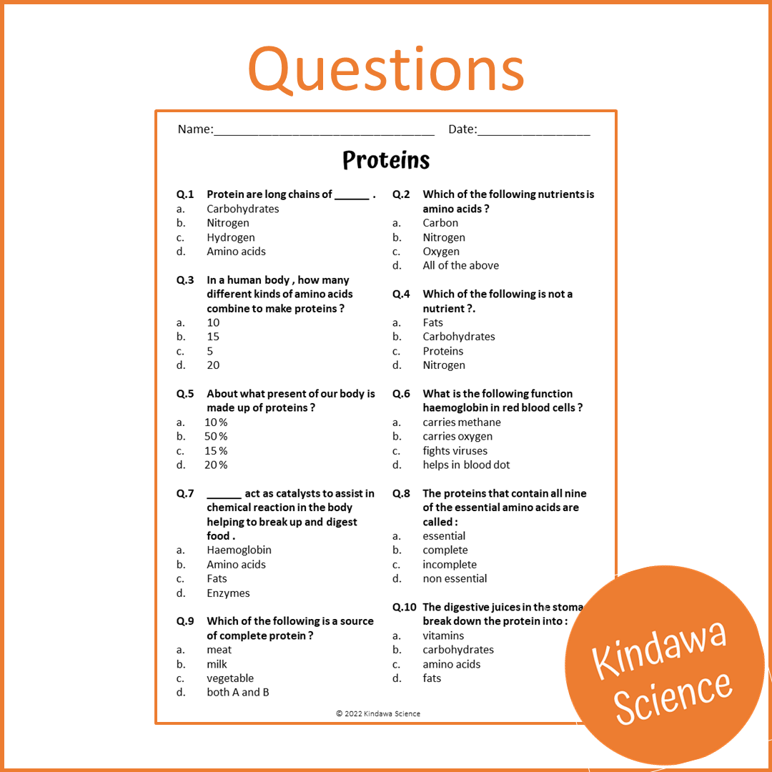 Proteins Reading Comprehension Passage and Questions | Printable PDF