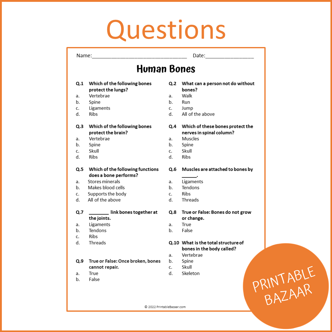 Human Bones Reading Comprehension Passage and Questions | Printable PDF