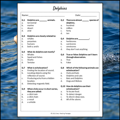 Dolphins Reading Comprehension Passage and Questions | Printable PDF