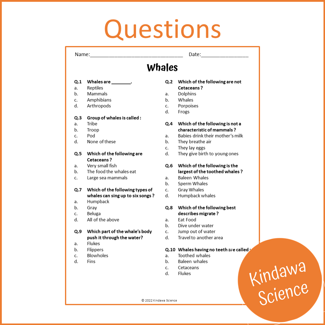 Whales Reading Comprehension Passage and Questions | Printable PDF